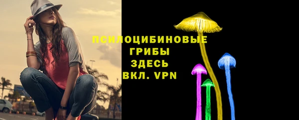 Альфа ПВП Волоколамск